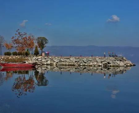 Hotel Masukiye *